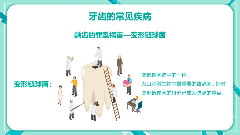 全国爱牙日5_第12页