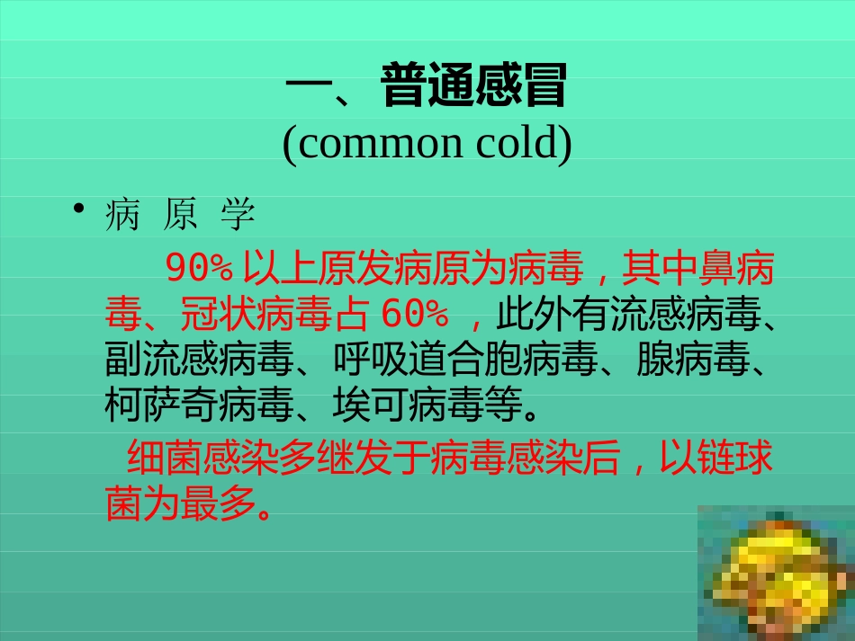 儿科常见疾病诊疗常规_第3页