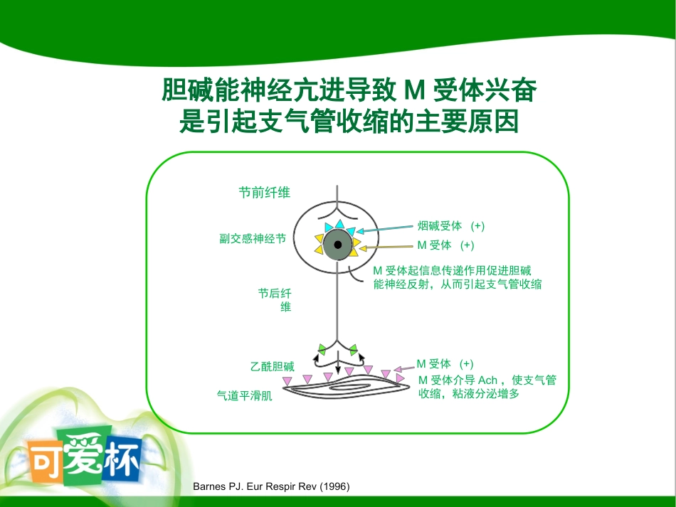 儿科喘息性疾病治疗新思考-淮安_第5页