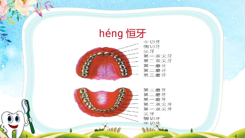 小学生口腔卫生保健知识讲座11_第13页