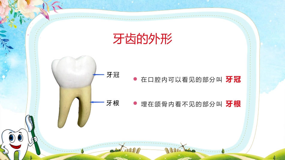 小学生口腔卫生保健知识讲座11_第14页
