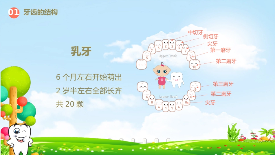 儿童口腔保健12_第5页