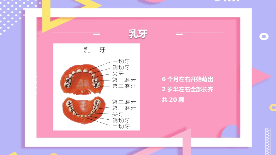 儿童口腔保健13_第5页