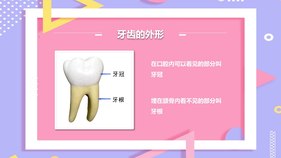 儿童口腔保健13_第7页