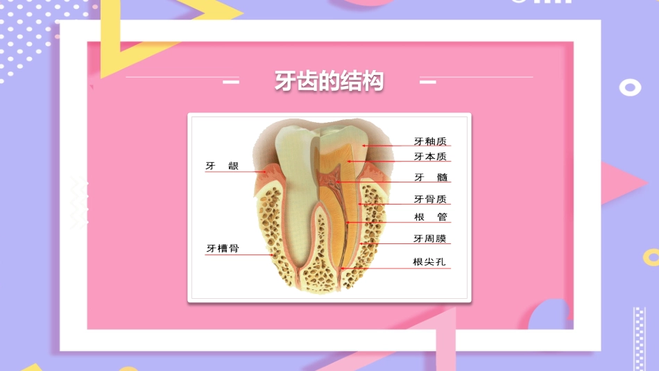 儿童口腔保健13_第8页