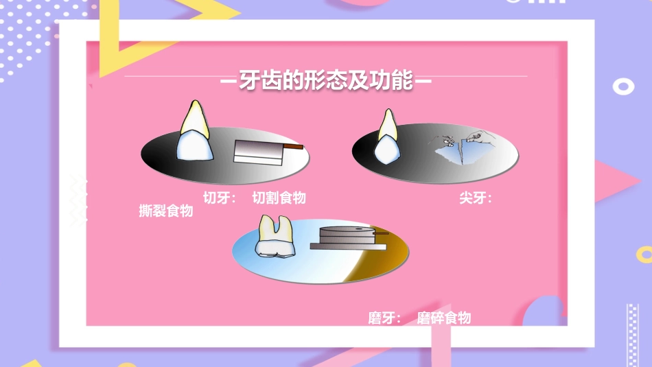儿童口腔保健13_第9页