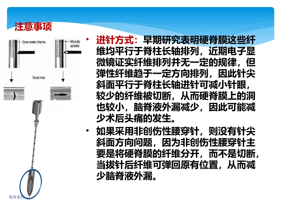 儿科规培操作腰椎穿刺_第12页