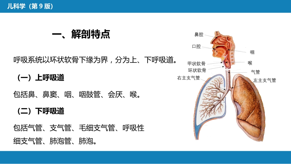 第十章 呼吸系统疾病 第一节-第五节_第5页