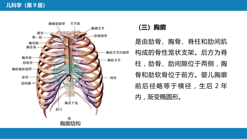 第十章 呼吸系统疾病 第一节-第五节_第6页