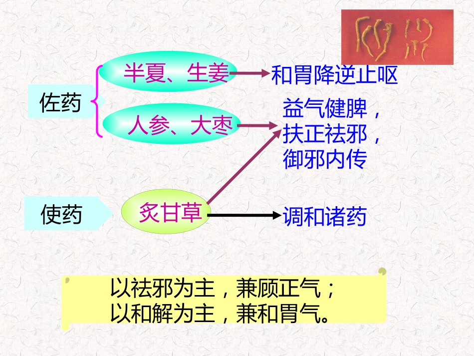 儿科常用方剂_第14页