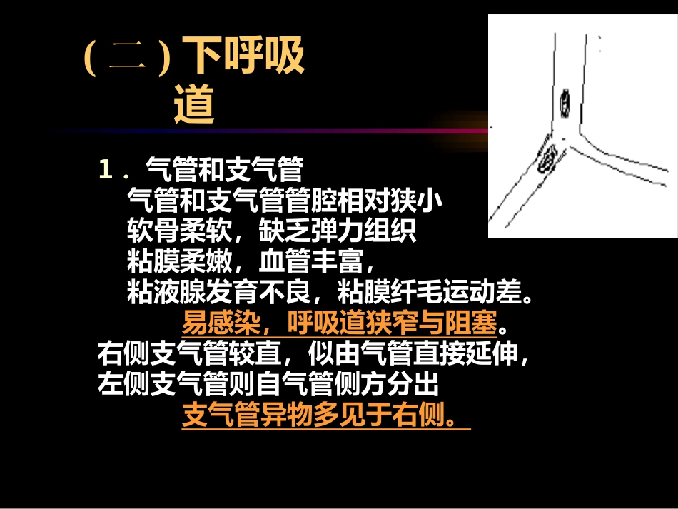 儿科呼吸系统疾病_第9页