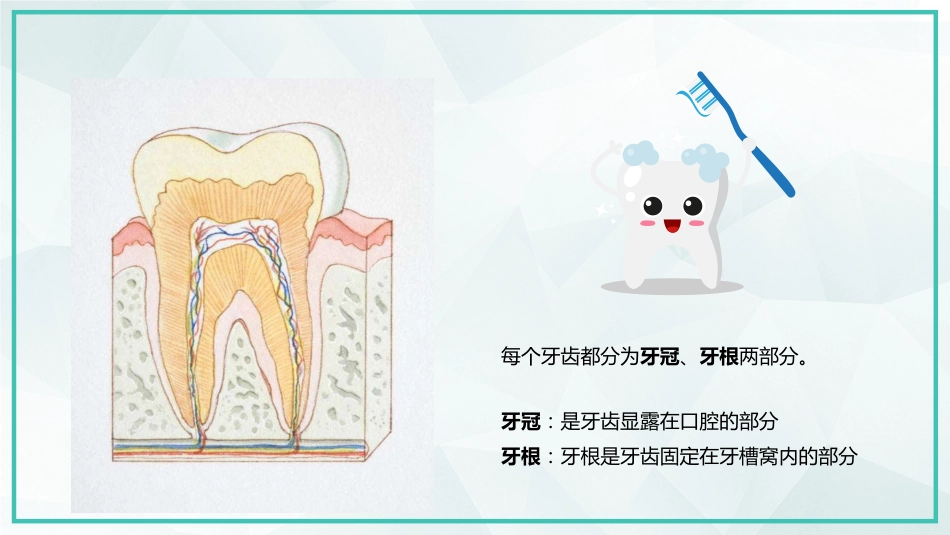 世界爱牙日宣传32_第6页
