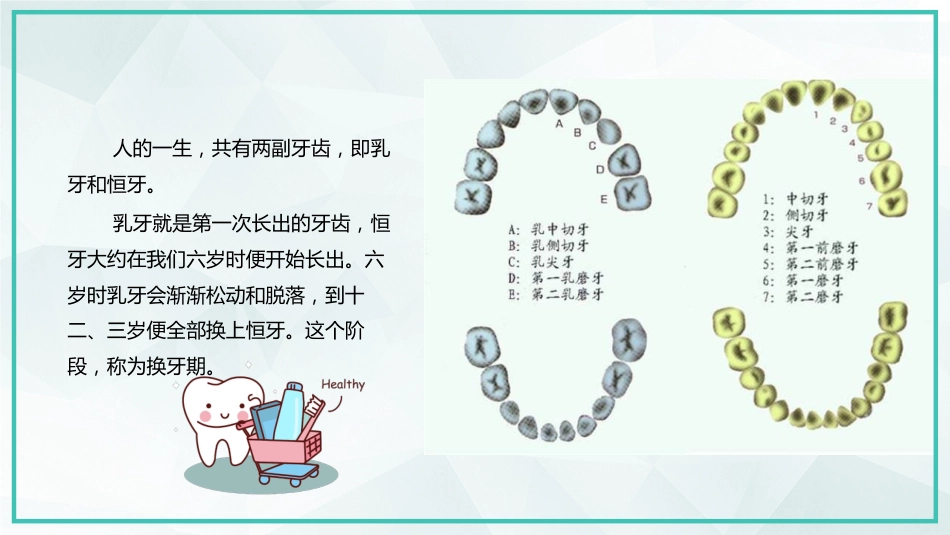 世界爱牙日宣传32_第7页