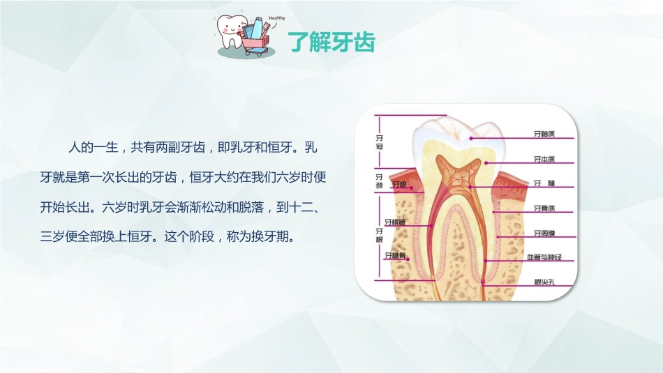 全国爱牙日33_第7页