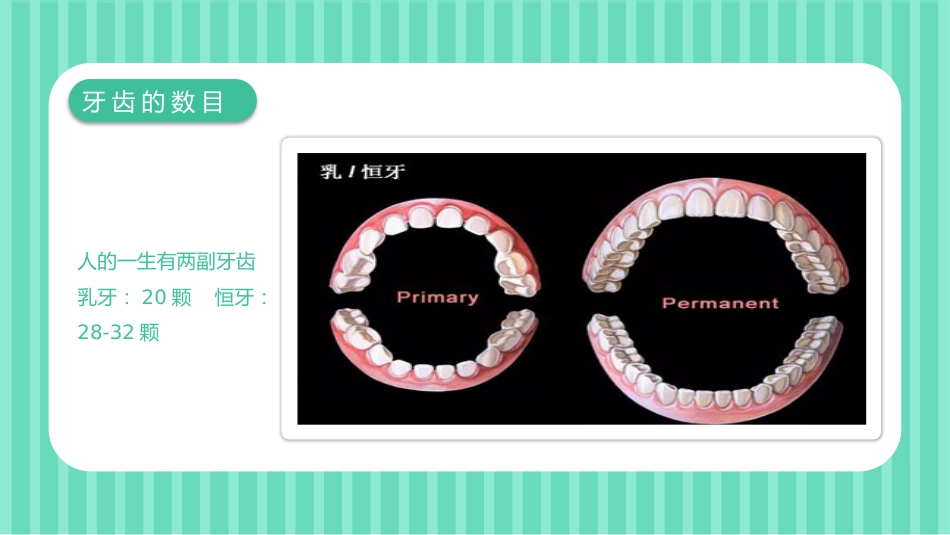 关爱牙齿健康48_第3页
