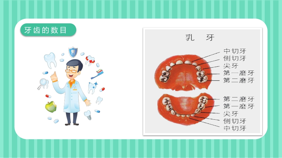 关爱牙齿健康48_第4页