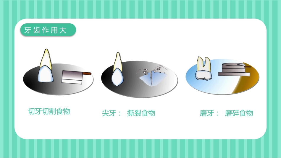 关爱牙齿健康48_第6页