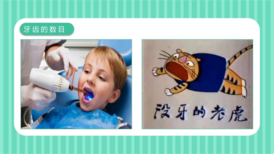 关爱牙齿健康48_第9页