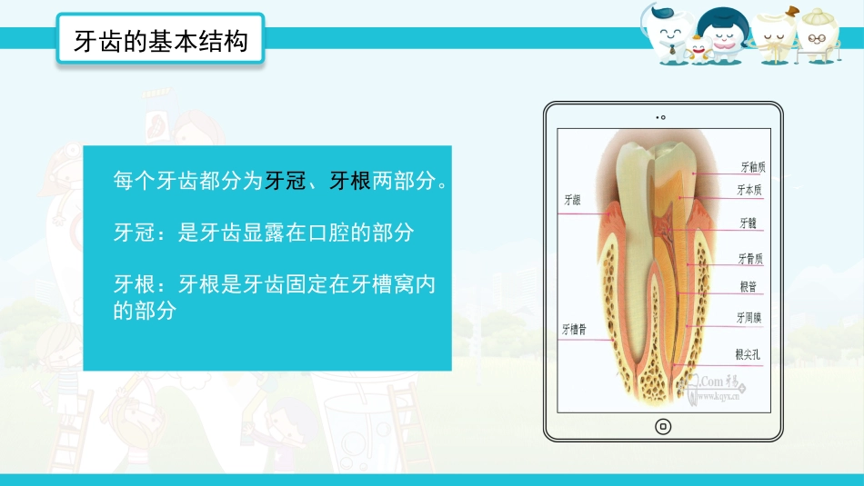 全国爱牙日52_第5页
