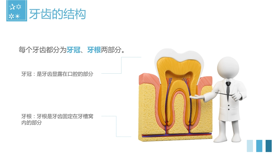 关爱牙齿健康54_第7页