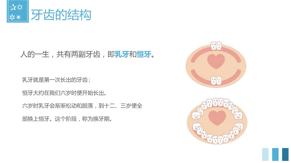关爱牙齿健康54_第8页