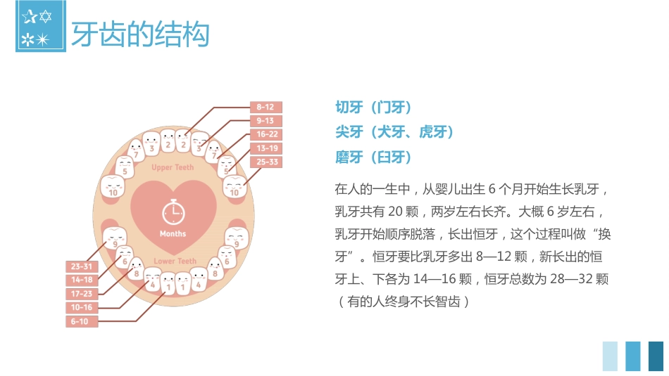 关爱牙齿健康54_第9页