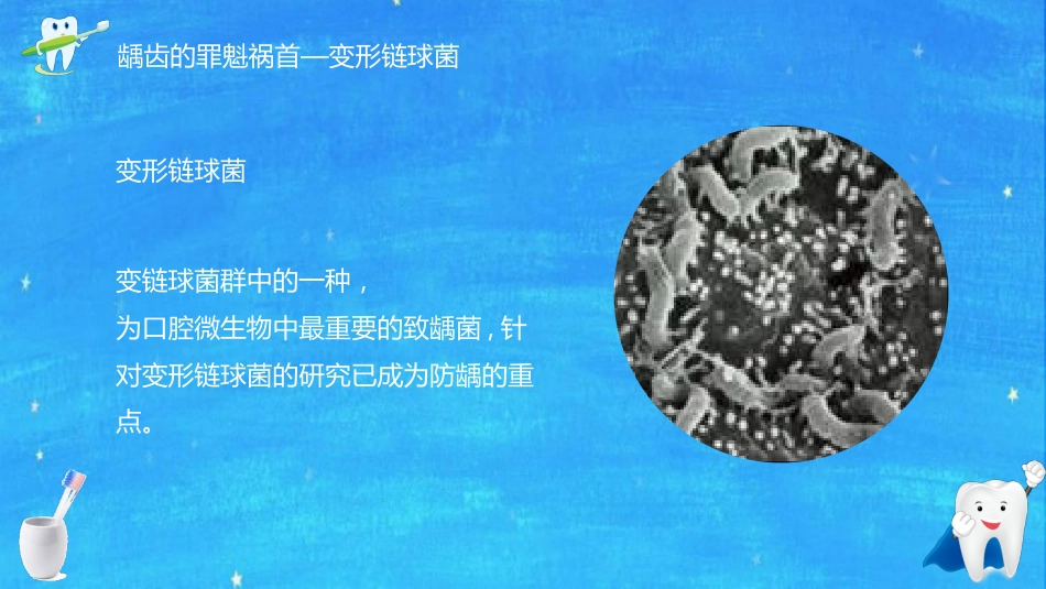 全国爱牙日56_第14页