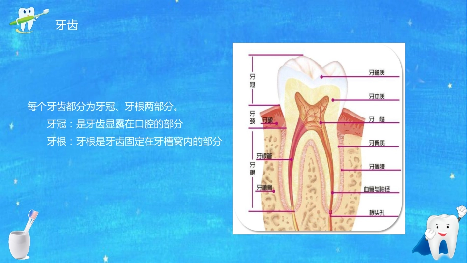 全国爱牙日56_第6页