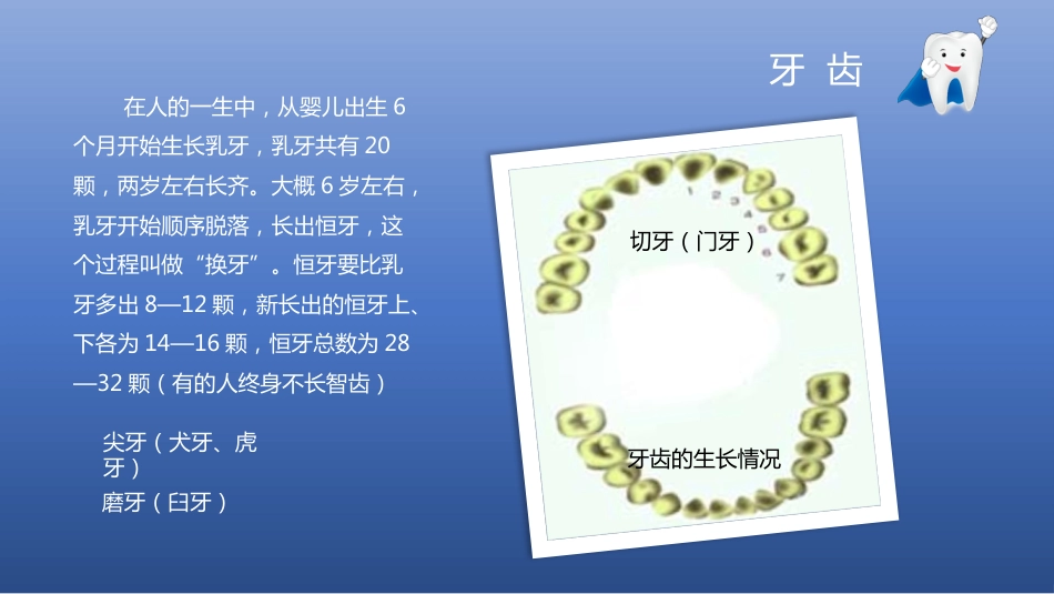 儿童牙齿口腔保健58_第8页