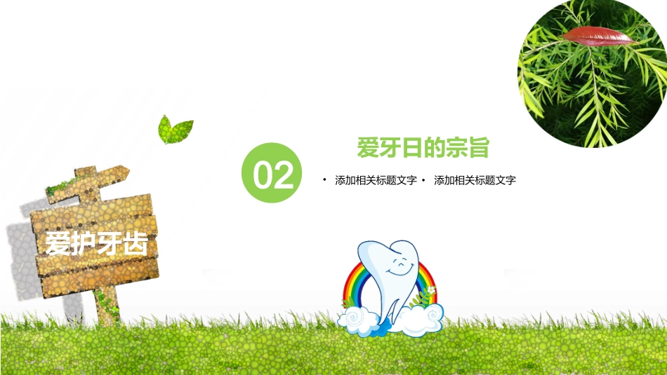 全国爱牙日63_第6页