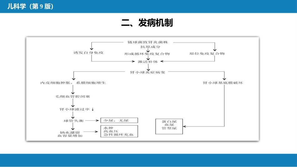 第十二章 泌尿系统疾病 第一节-第六节_第13页