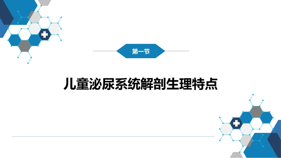第十二章 泌尿系统疾病 第一节-第六节_第4页