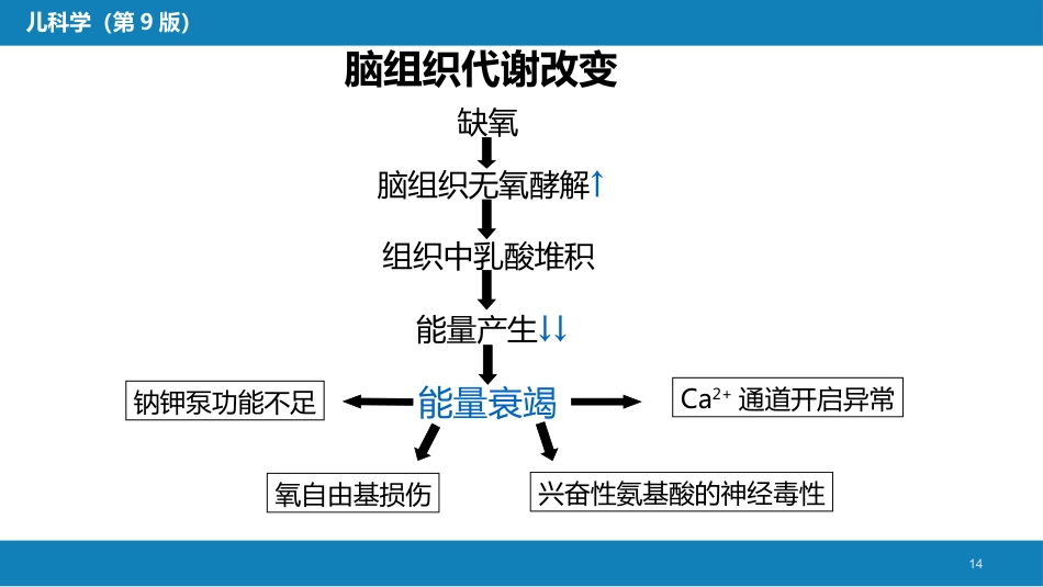 第六章 新生儿与新生儿疾病 第五节 新生儿缺氧缺血性脑病_第14页