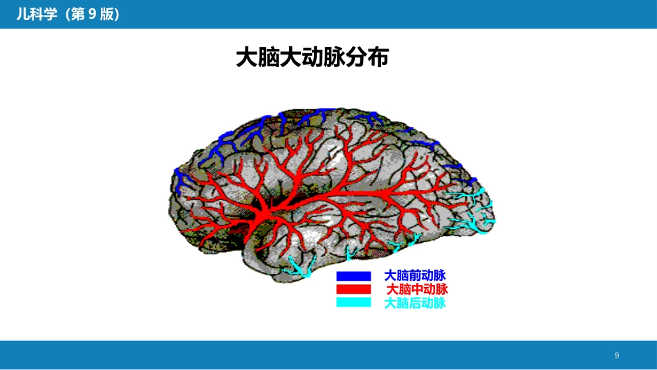 第六章 新生儿与新生儿疾病 第五节 新生儿缺氧缺血性脑病_第9页