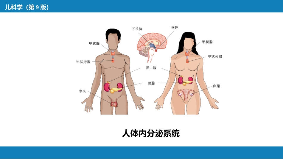 第十五章 内分泌疾病_第5页