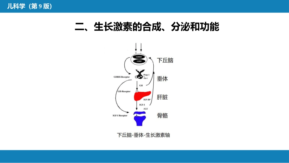 第十五章 内分泌疾病_第9页