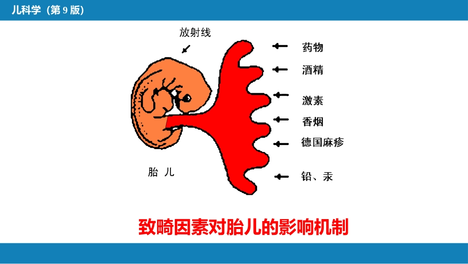 第三章 儿童保健_第12页