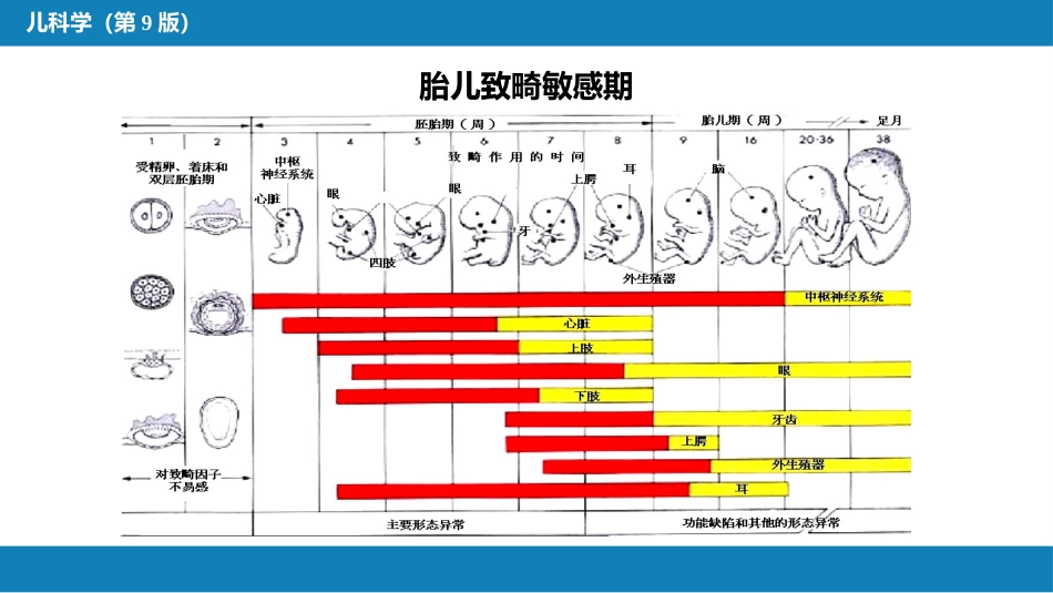 第三章 儿童保健_第9页