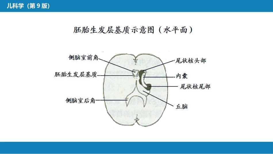 第六章 新生儿与新生儿疾病 第六节 新生儿颅内出血_第7页