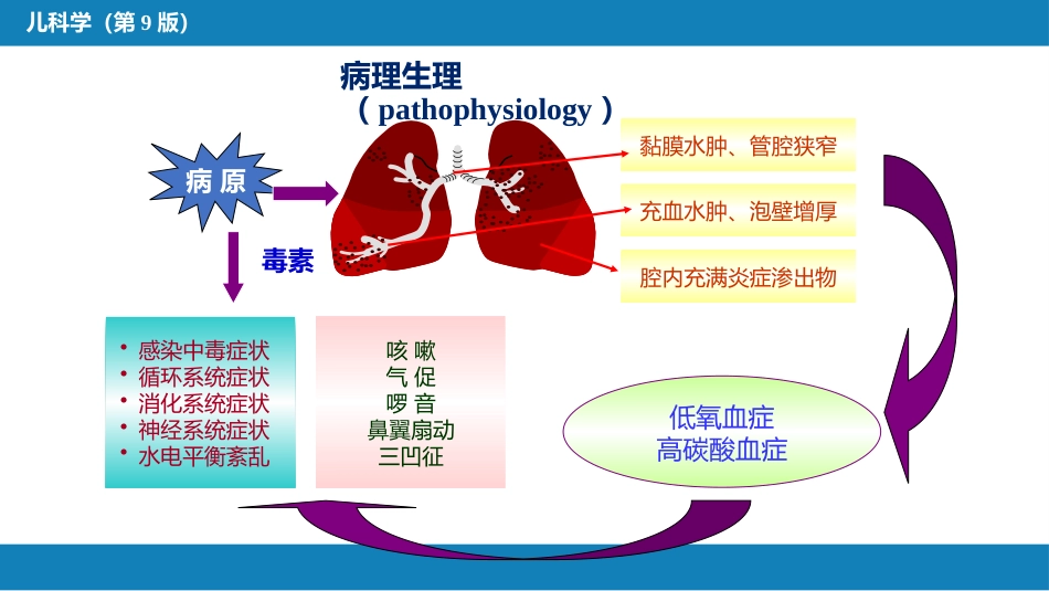 第十章 呼吸系统疾病 第七节-第九节_第12页