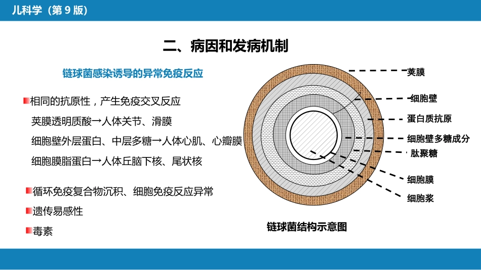 第七章 免疫性疾病 第四节-第八节_第7页
