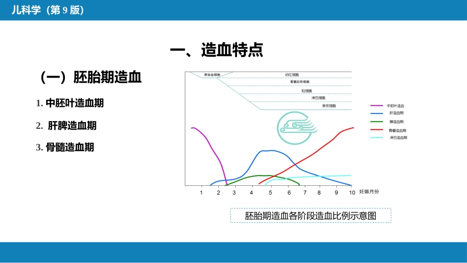 第十三章 造血系统疾病 第一节-第四节_第5页