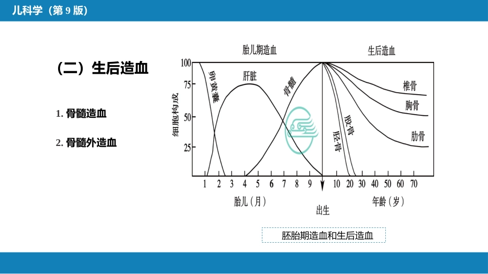 第十三章 造血系统疾病 第一节-第四节_第6页