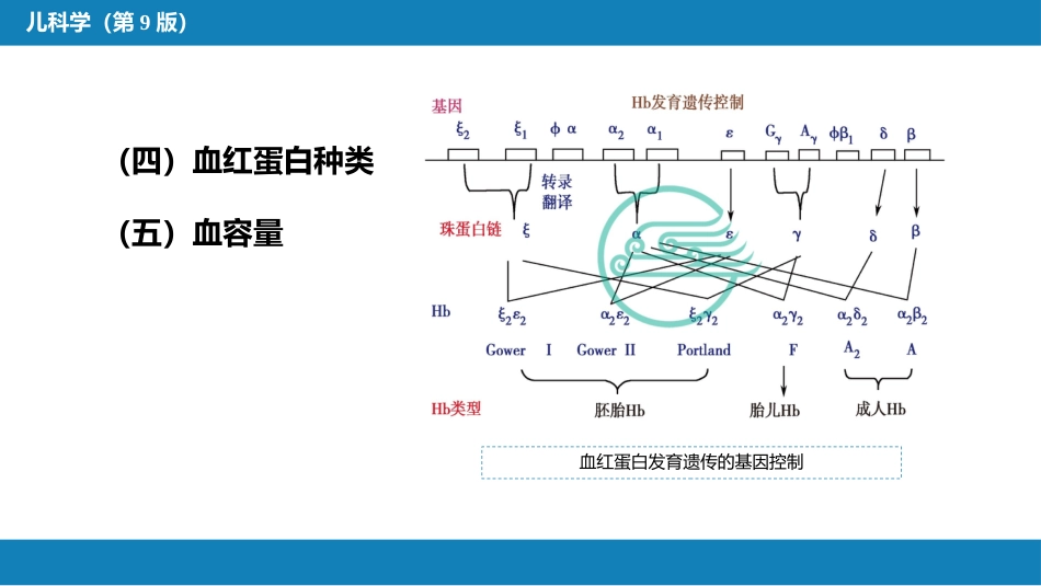 第十三章 造血系统疾病 第一节-第四节_第8页