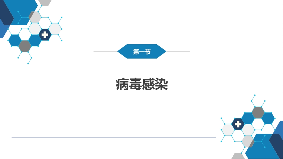 第八章 感染性疾病 第一节 病毒感染_第3页