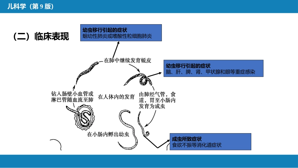 第八章 感染性疾病 第五节 寄生虫病_第5页