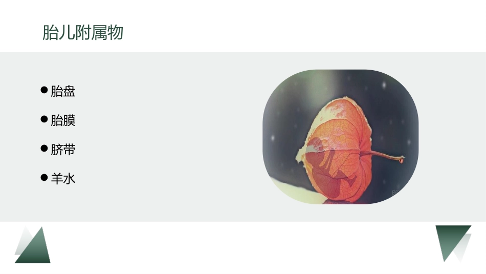 剖宫产术护理教学查房_第12页