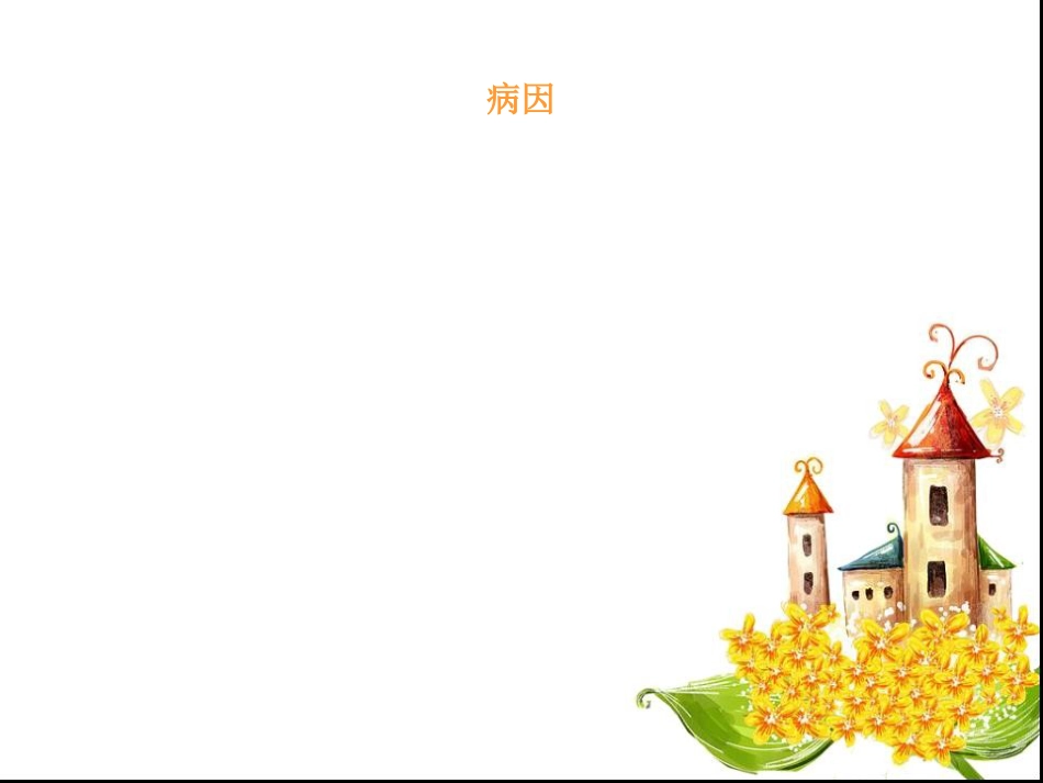 宫外孕失血性休克手术的护理查房_第12页