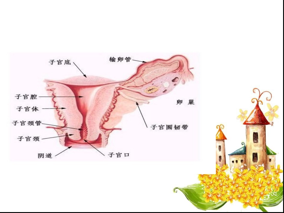 宫外孕失血性休克手术的护理查房_第9页