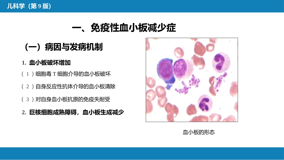 第十三章 造血系统疾病 第五节-第八节_第5页